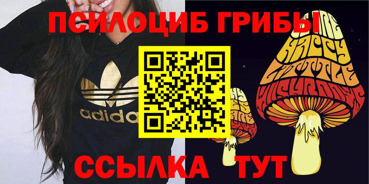 Мытищи  Галлюциногенные грибы прущие грибы  Вход с VPN 