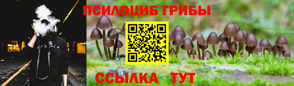 Псилоцибиновые грибы ЛСД Мытищи